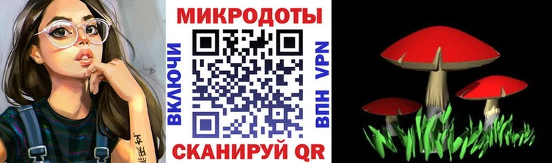 Псилоцибиновые грибы Psilocybe  Купить закладки  Таруса 